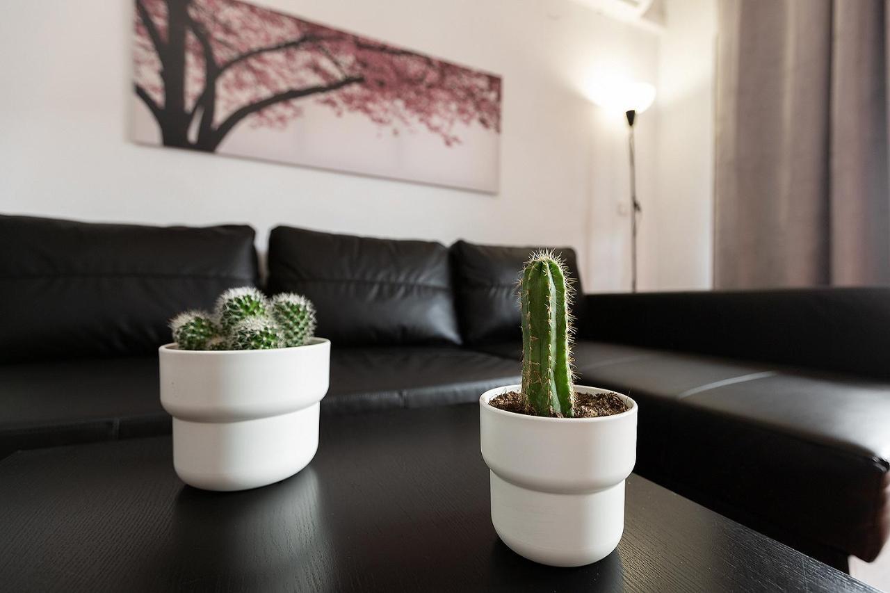 토레몰리노스 Monko Cactus 아파트 외부 사진