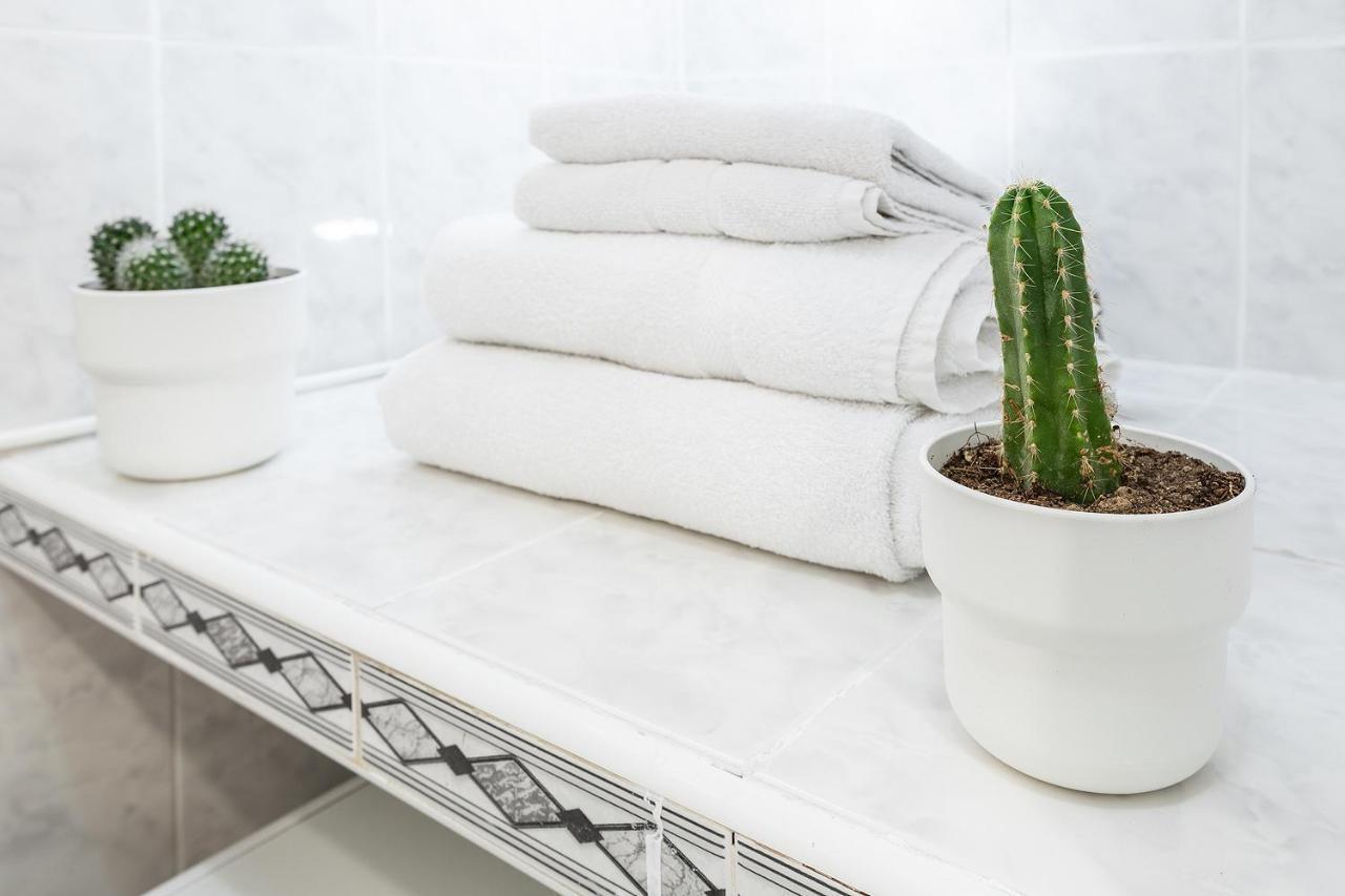 토레몰리노스 Monko Cactus 아파트 외부 사진